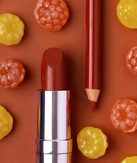 Autumn Cinnamon Lip Kit