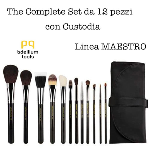 Maestro Complete 12 pc brush set with Roll-Up Pouch