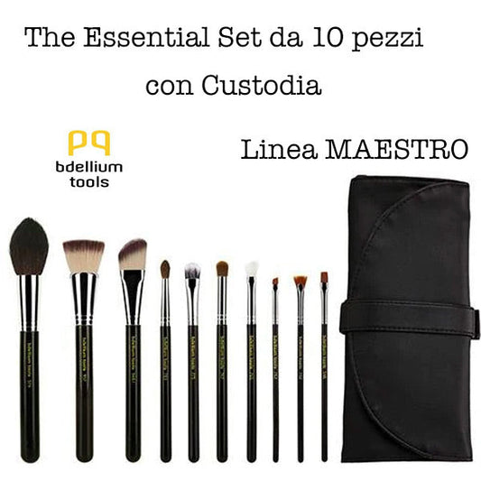 Maestro The Key Essential 10 pc brish set with Roll-Up Pouch