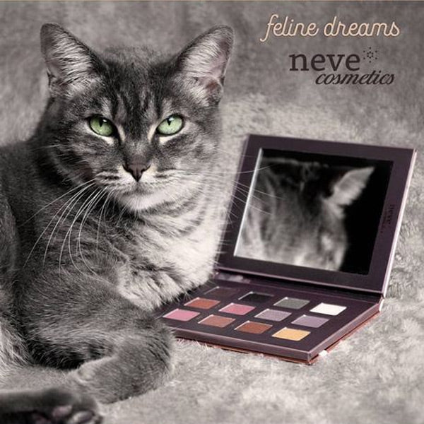 Feline Dreams Palette