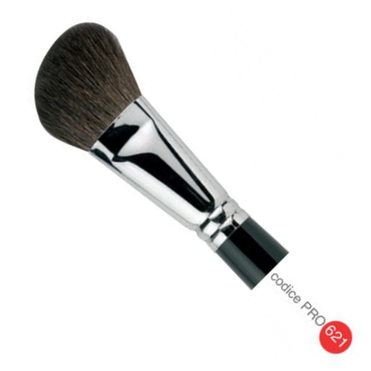 Pennello blush n 26 - capra